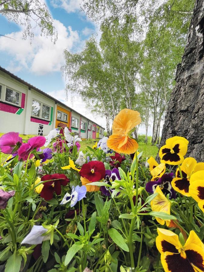 Koza I Brzoza, Domki Z Kontenerow Пиецховице Екстериор снимка